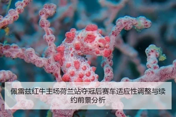 pei-lei-zi-hong-niu-zhu-chang-he-lan-zhan-duo-guan-hou-sai-che-shi-ying-xing-tiao-zheng-yu-xu-yue-qian-jing-fen-xi-3-357.jpg