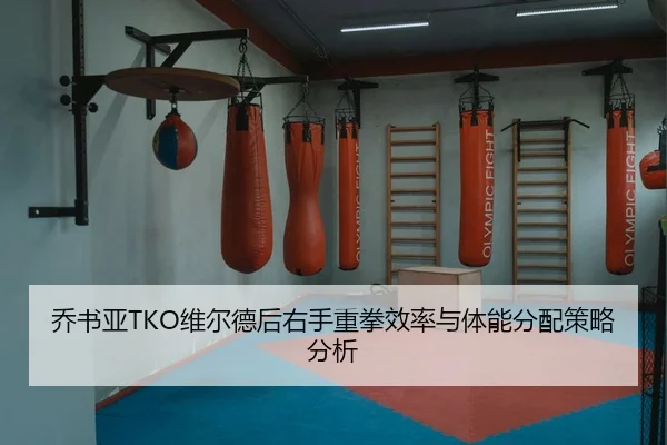 qiao-shu-ya-wei-er-de-hou-you-shou-zhong-quan-xiao-lv-yu-ti-neng-fen-pei-ce-lve-fen-xi-3-228.jpg